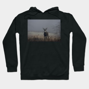 Big Buck - White-tailed Deer Hoodie